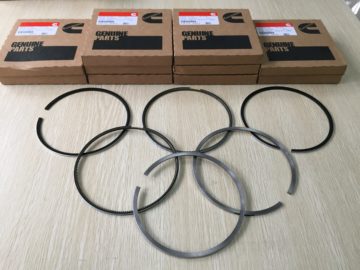 piston ring 4955976