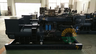 250KVA WEICHAI MARINE GENERATOR